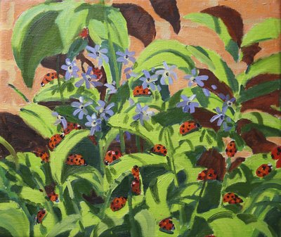 Ladybirds by Andrew Macara